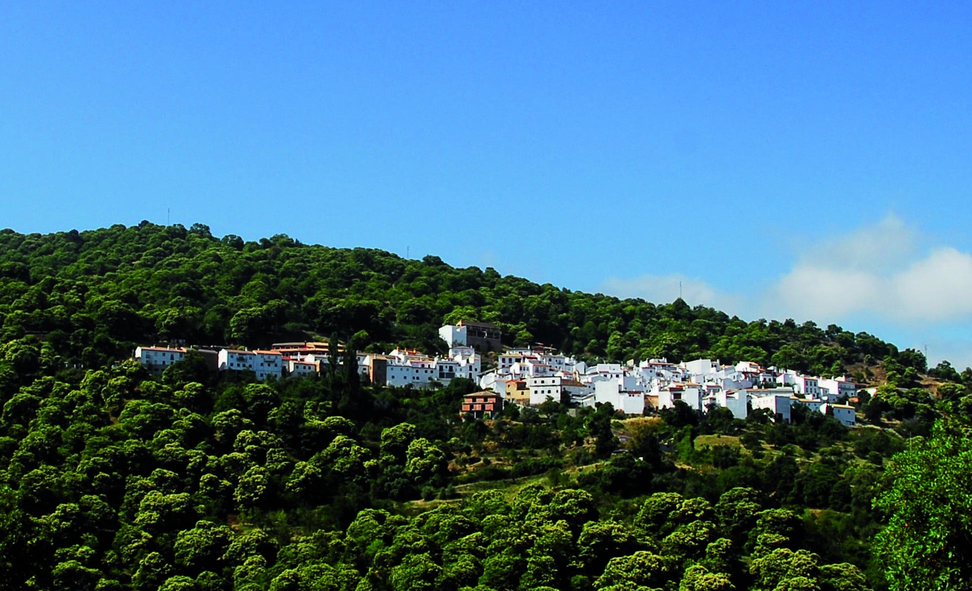 Ayuntamiento involucrados