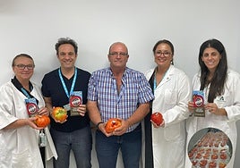 Representantes del Hospital Regional Universitario de Málaga junto a miembros de la Asociación Tomate Huevo Toro.