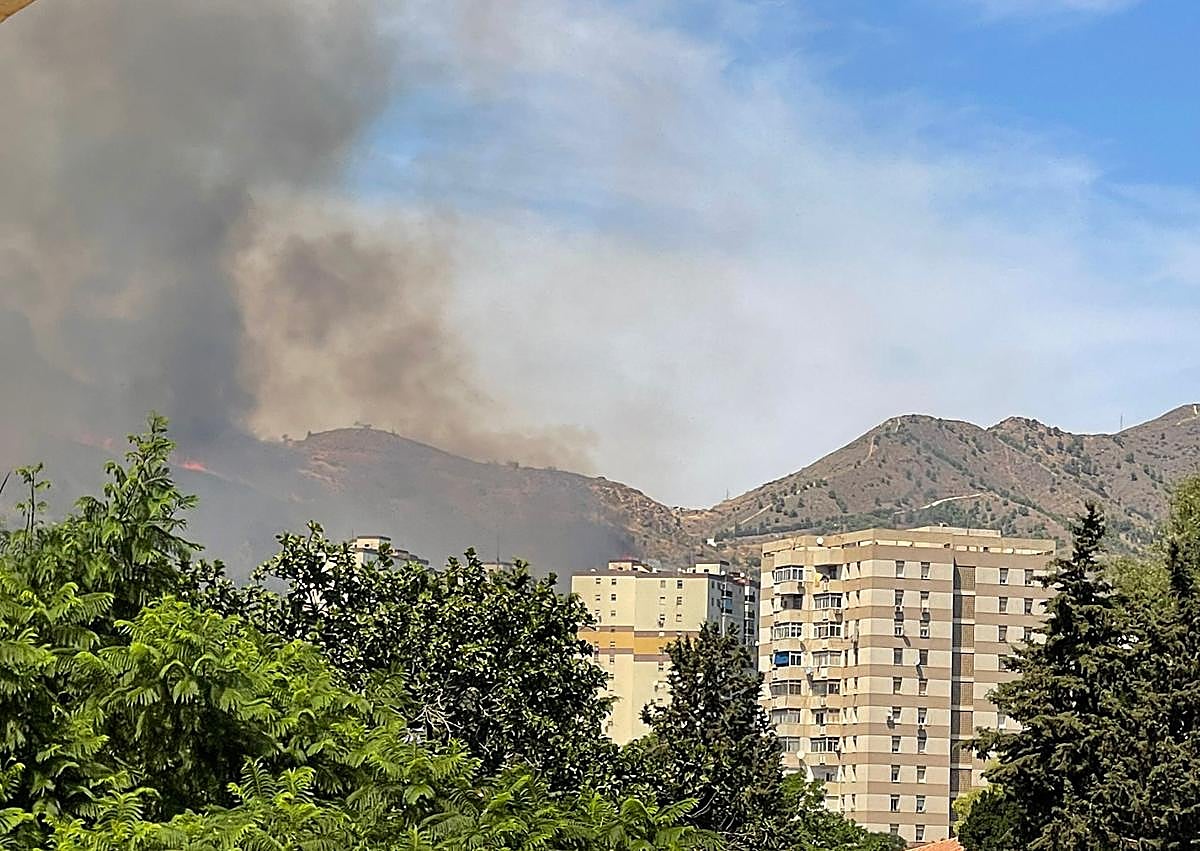 Imagen secundaria 1 - Extinguido el incendio en Monte Coronado en Málaga tras más de 22 horas activo