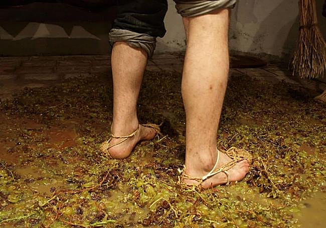 Pisa de la Uva en Riogordo.