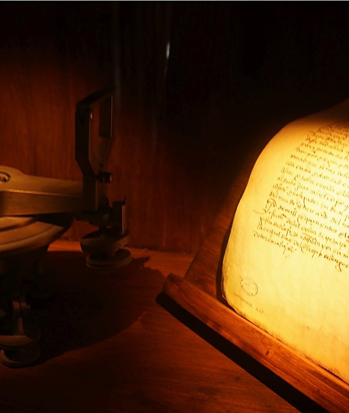 Imagen secundaria 2 - El orangután de Borneo e imágenes de la actividad.