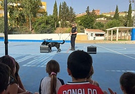 Trescientos niños participan en las jornadas educativas de la Unidad Canina de la Policía Local de Rincón de la Victoria