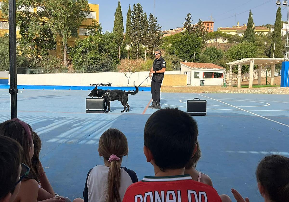 Trescientos niños participan en las jornadas educativas de la Unidad Canina de la Policía Local de Rincón de la Victoria