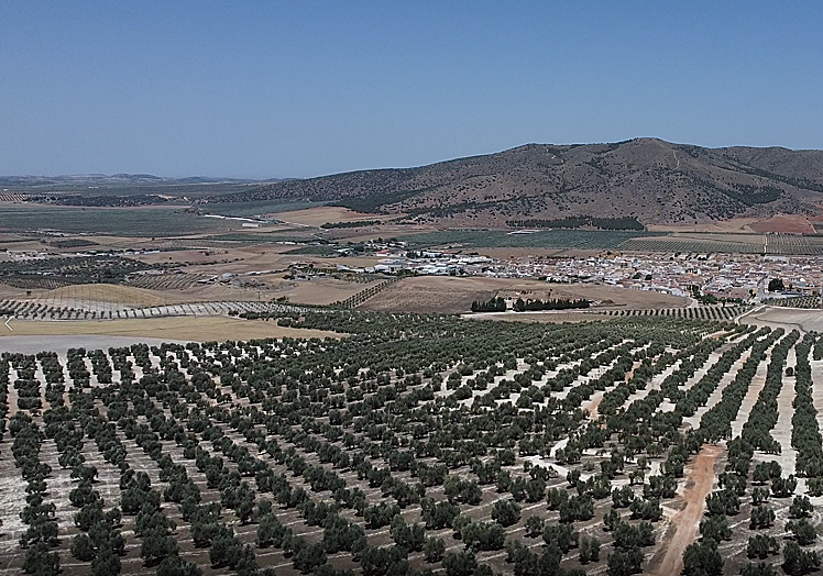 El espacio donde se proyecta el nuevo polideportivo de Sierra de Yeguas.