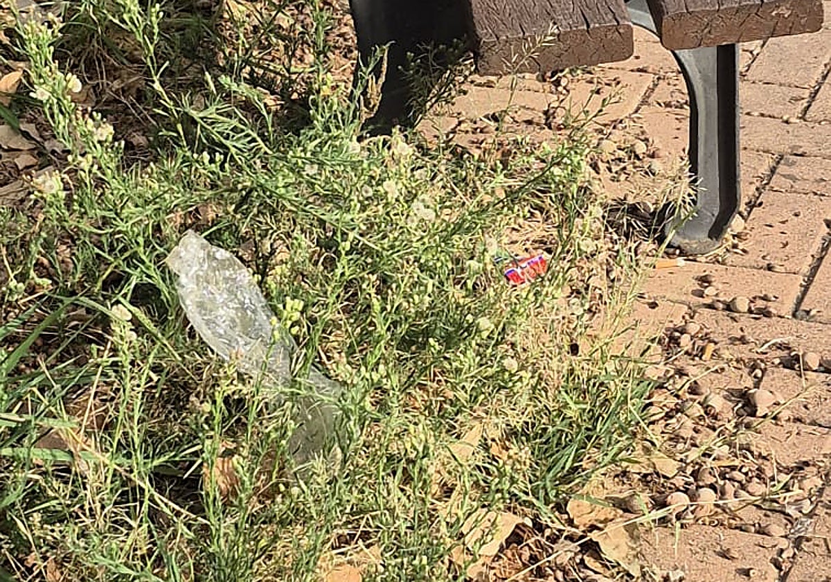 Vista de maleza descontrolada y basura en la zona denunciada.