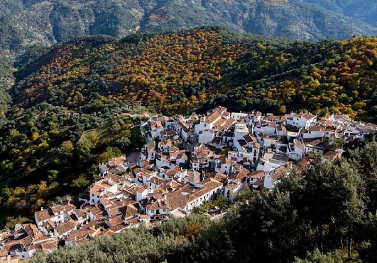 El municipio malagueño de Benalauría.