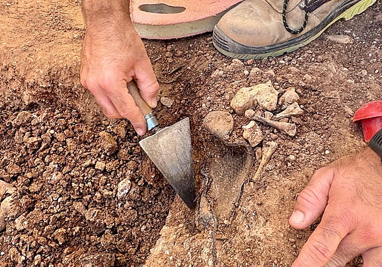 Detalle de los trabajos de exhumación en el cementerio municipal de Campillos.