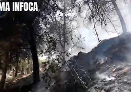 Extinguido un incendio forestal declarado en Mijas