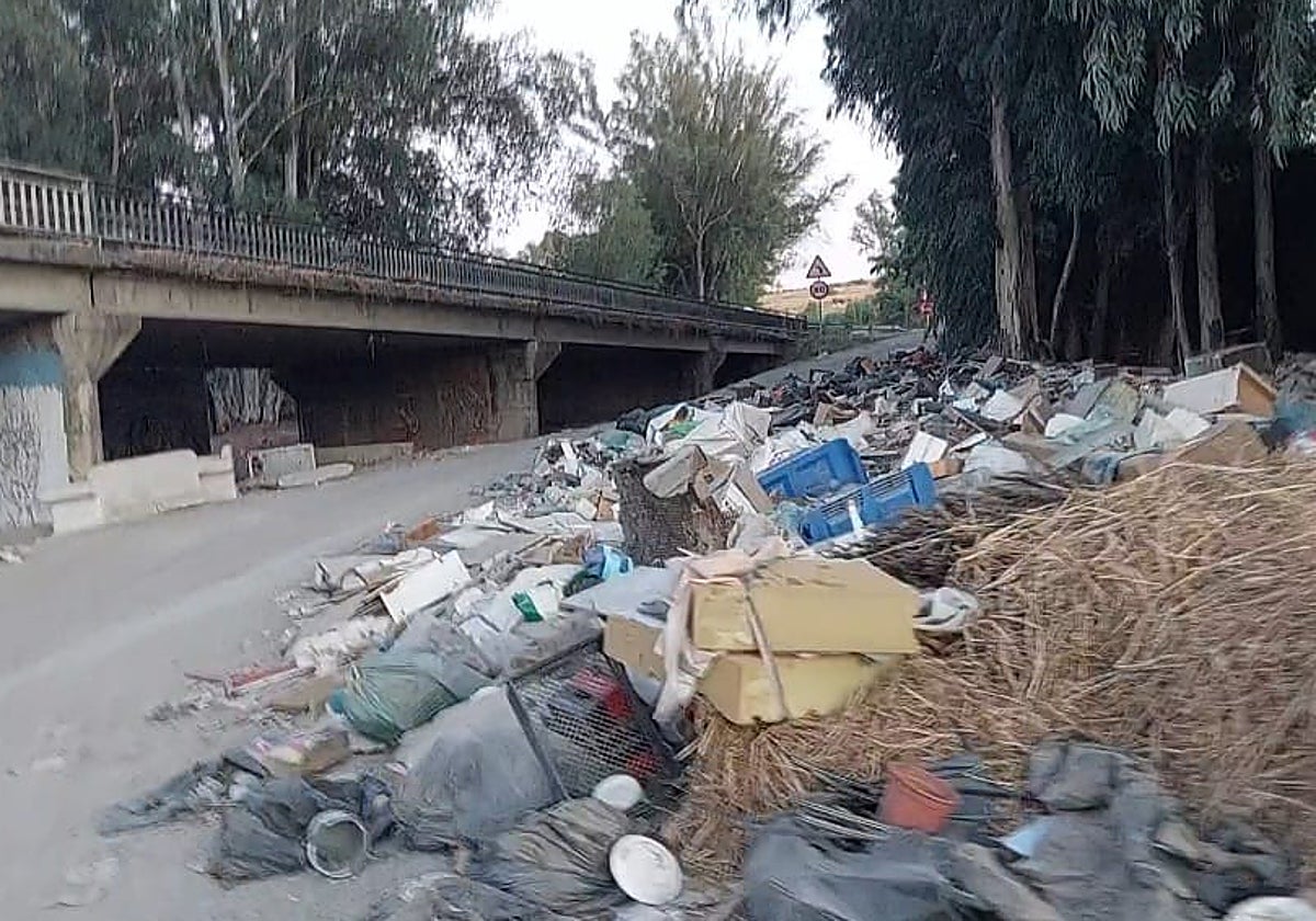 Montones de escombros, plásticos y restos de poda se acumulan bajo el puente de la A-357, en el kilómetro 47 a su paso por Cártama, junto al cauce del río Grande.