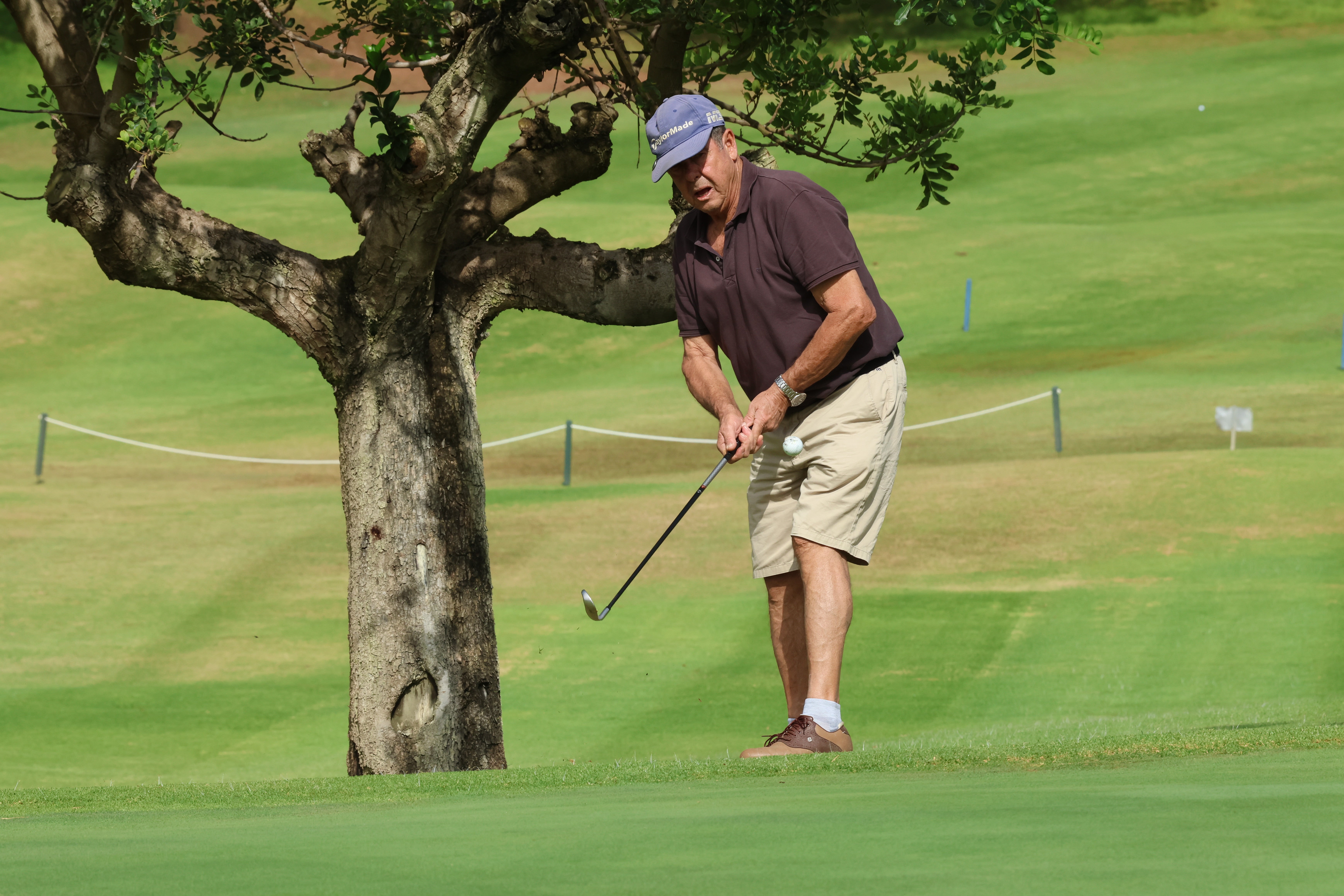 Torneo de Golf Diario SUR