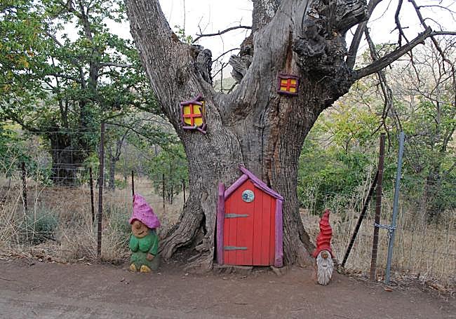 Bosque Encantado de Parauta.