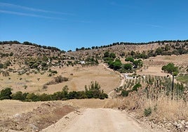 Uno de los caminos rurales de Ronda en los que ya se han iniciado las obras de mejora.