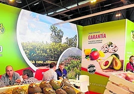 La extensión redundará en la investigación y la promoción.