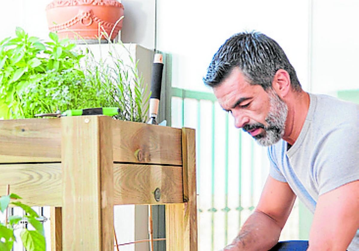 El huerto urbano se consolida como una tendencia sostenible