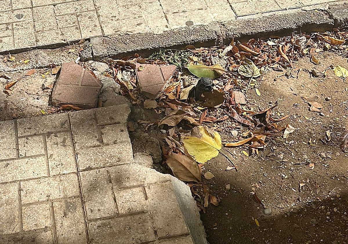 Vista de bordillos rotos en la calle denunciada.