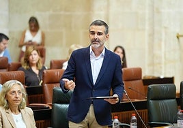 El consejero de Agricultura, Pesca, Agua y Desarrollo Rural, Ramón Fernández-Pacheco, durante su intervención este jueves en el Parlamento de Andalucía.