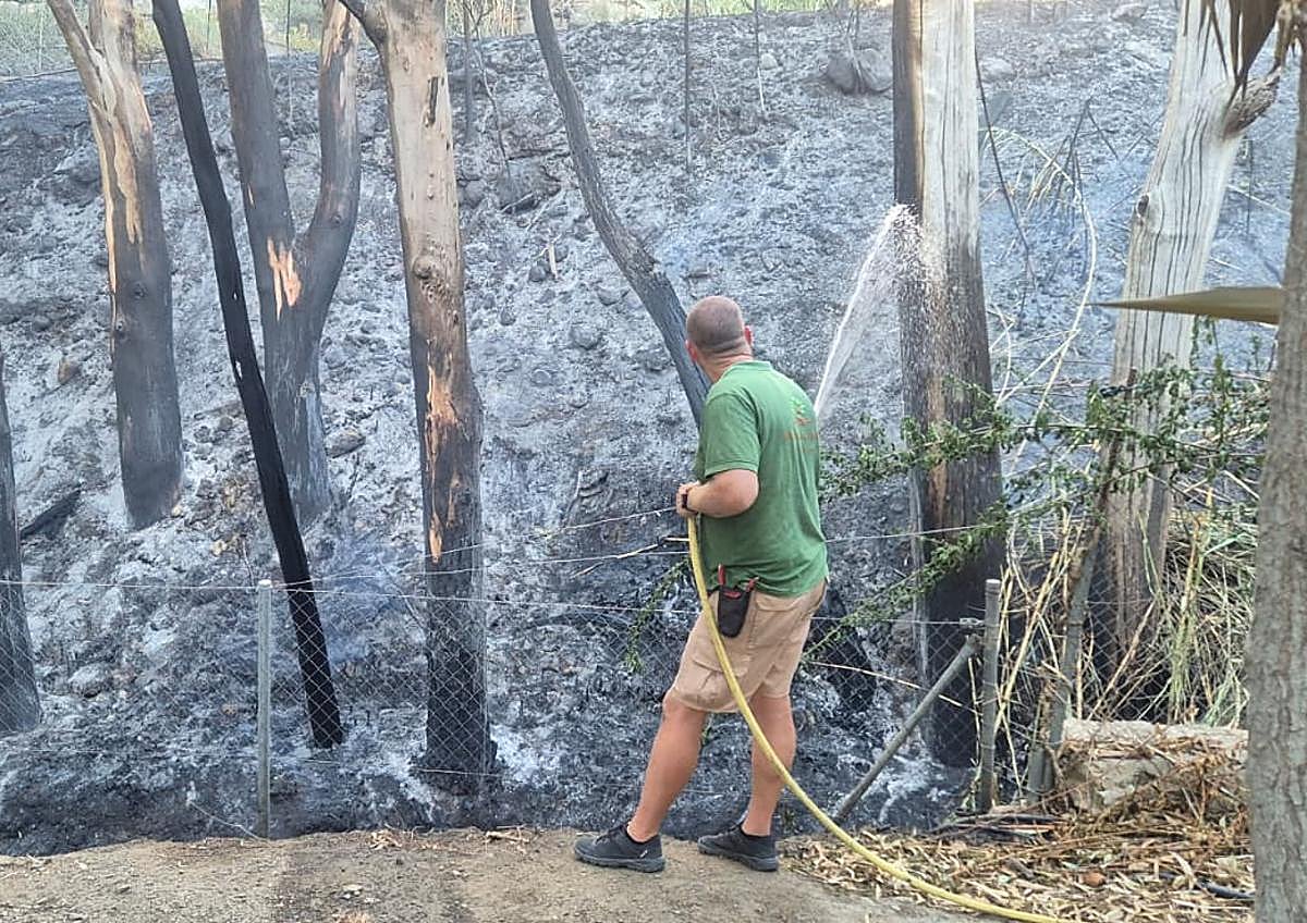 Imagen secundaria 1 - Arriba, vecinos delaojados en el polideportivo (foto José Rodríguez Cámara). Abajo, tareas de refresco (foto Salvador Salas) y llamas en la estación de Torremuelle de madrugada (foto @iampedriito12).