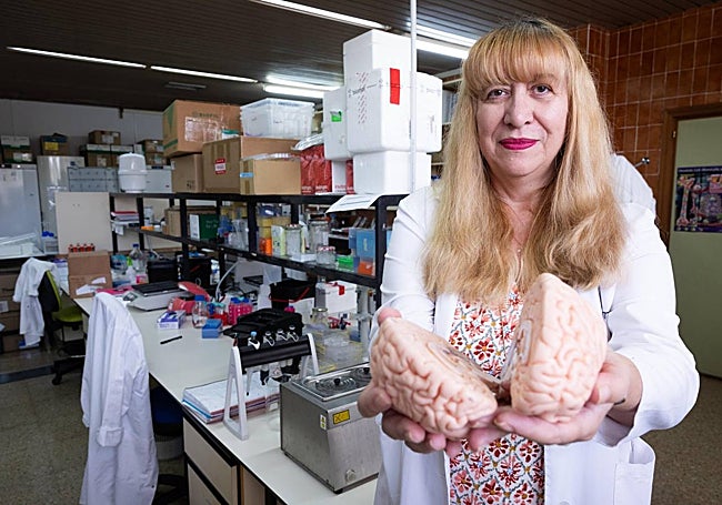 Gutiérrez muestra un cerebro en el laboratorio donde trabaja, situado en el Facultad de Ciencias de Málaga.