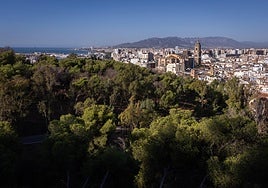 El monte Gibralfaro constituye un pulmón verde enclavado junto al Centro de Málaga.
