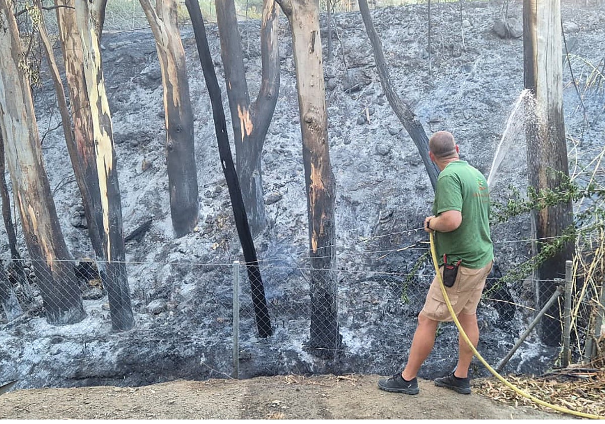 Refresco de la zona quemada, junto a un residencial.