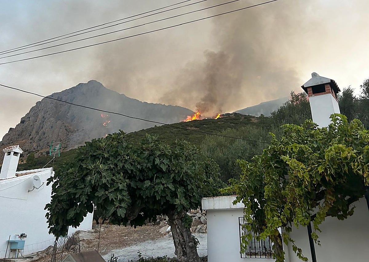 Imagen secundaria 1 - Tres imágenes del incendio en Alcaucín y los medios del Infoca desplazados.