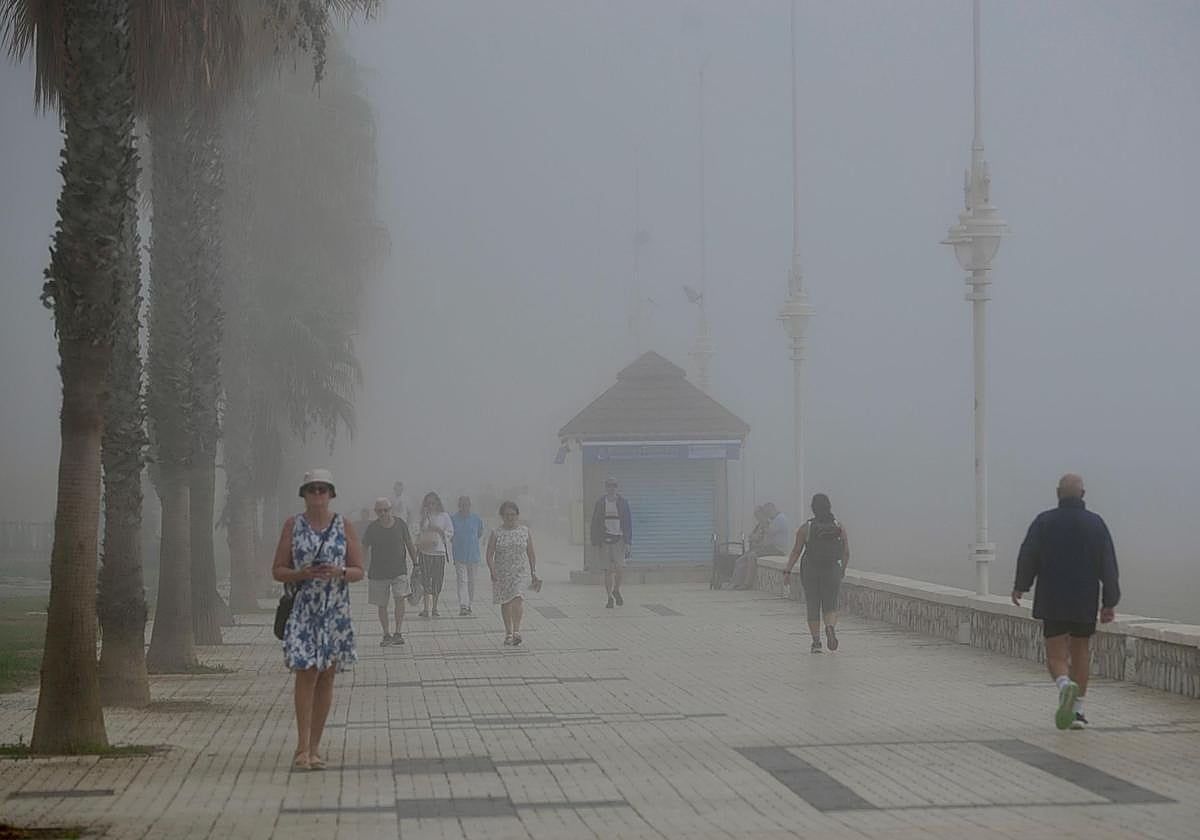 El taró, protagonista del domingo en Málaga.