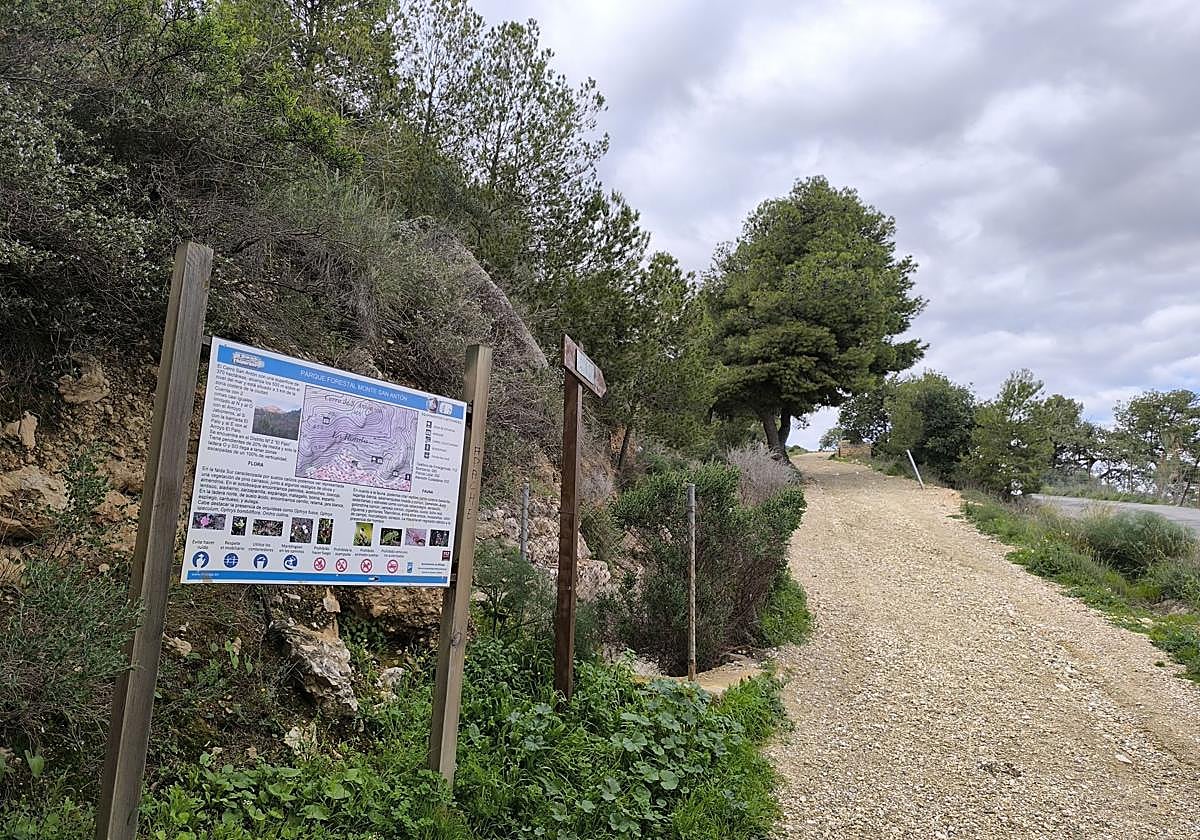 Ocho rutas de senderismo impresionantes de Málaga en las que no tener coche no será excusa