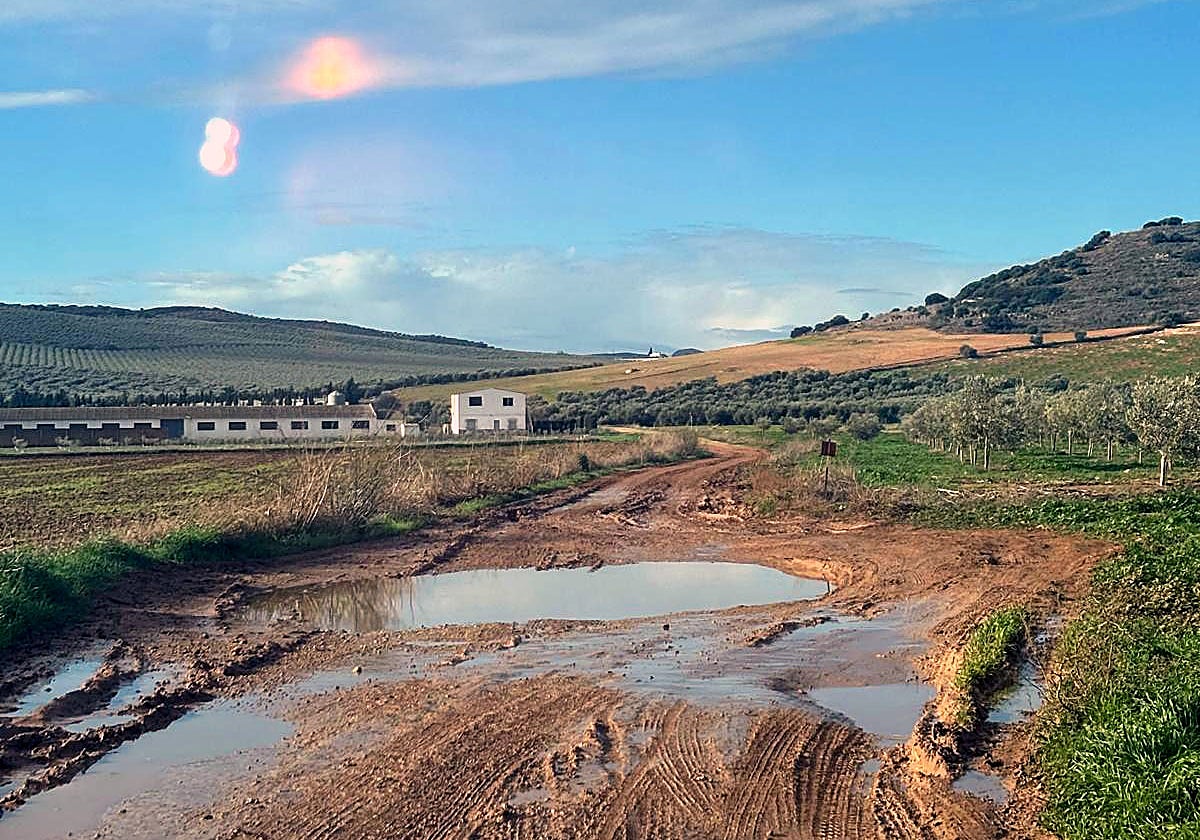 Uno de los espacios afectados durante las danas.