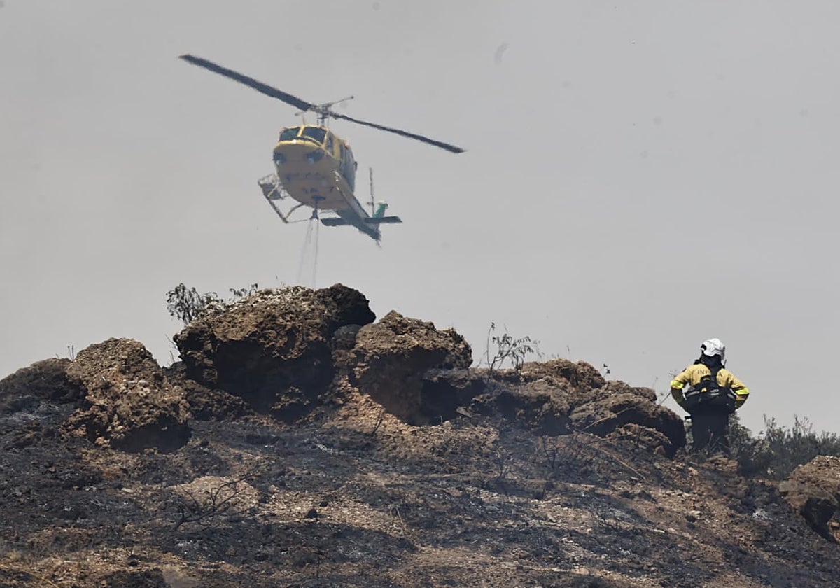 Efectivos de Infoca intervienen durante un incendio en Málaga.