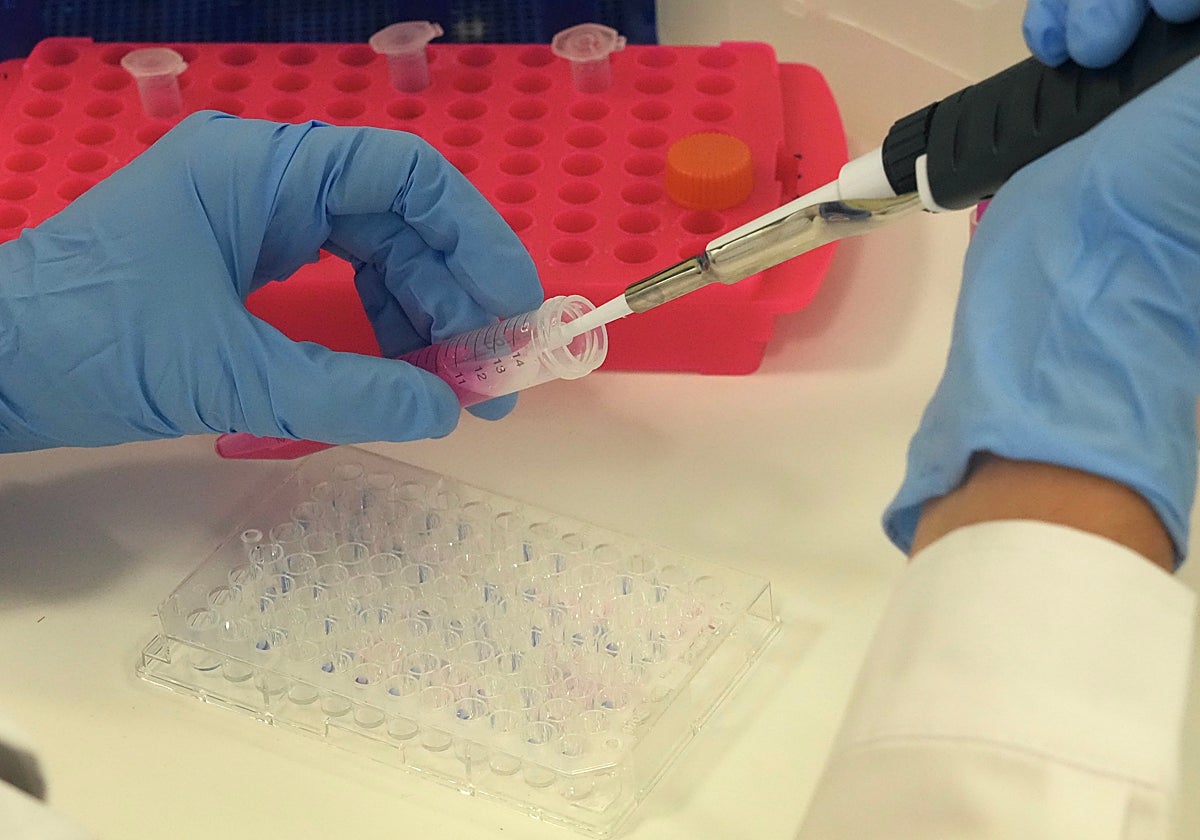 La investigación en Málaga ha evolucionado favorablemente en los últimos años.