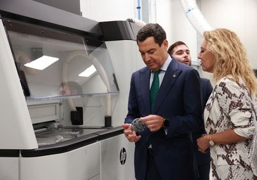 Los andaluces podrán desgravar desde el próximo año los gastos veterinarios de sus mascotas