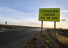 Cartel situado cerca del casco urbano de Campillos.