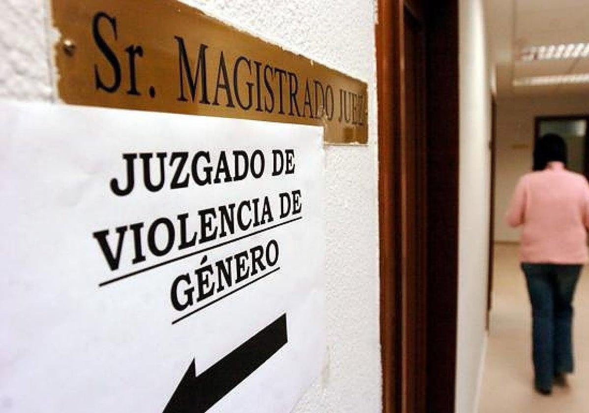 Condenado por violencia vicaria por matar al perro de de su pareja tras tirarlo por un acantilado