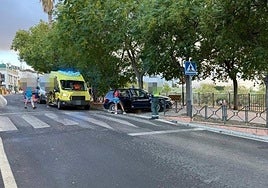 Imagen del suceso registrado este domingo en Arriate.