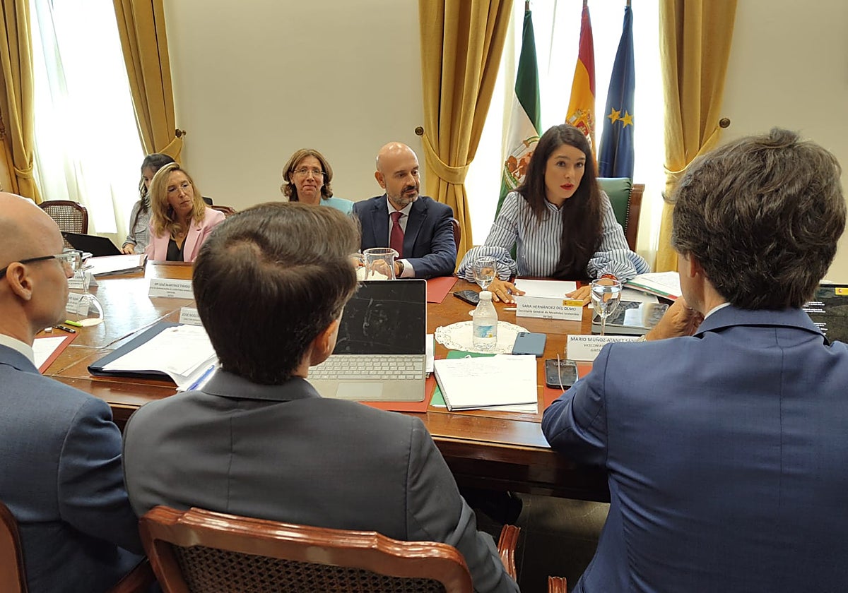 La secretaria general de Movilidad Sostenible, en un momento de la reunión.