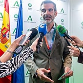 Imagen - «Se trata de una convocatoria provisional que beneficia a más de 1.900 jóvenes que cumplen los requisitos»