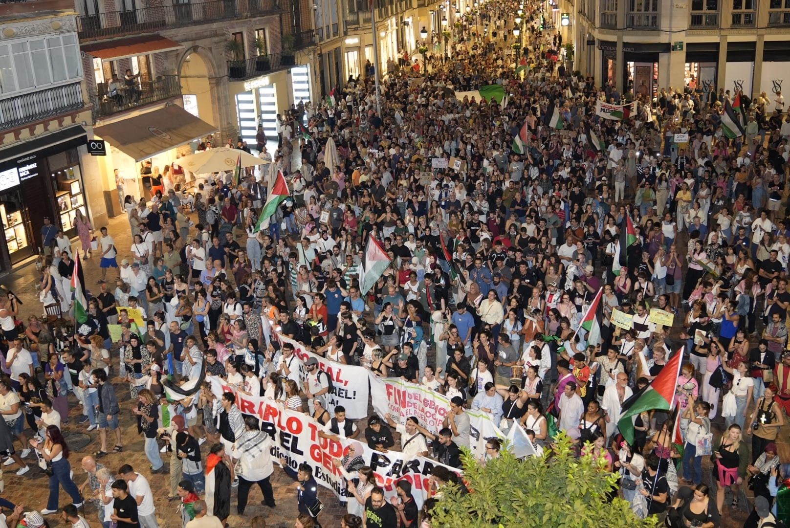 La protesta en Málaga por la flotilla de Gaza, en imágenes