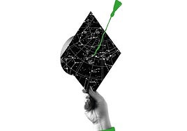 El papel de la universidad