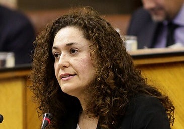 Por Andalucía cree que «el destrozo de la sanidad no se enjuaga con una dimisión»