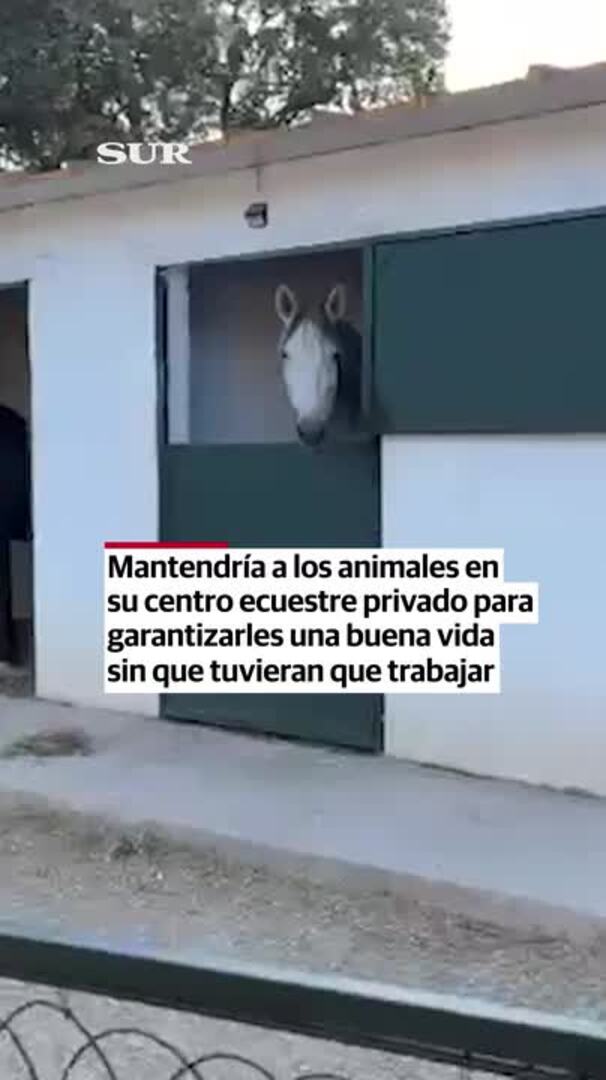 Adiós a los coches de caballos en Málaga: una madrileña se ofrece a acogerlos para que no los sacrifiquen