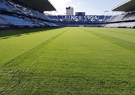 Aspecto del césped de La Rosaleda este miércoles, aún sin las líneas pintadas y en pleno proceso de corte de la hierba.