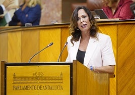 La consejera de Fomento, Rocío Díaz, en su intervención en el Parlamento.
