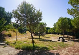 Parque Seguers de Estepona.