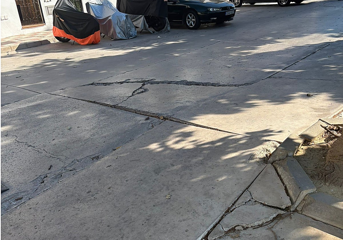 Imagen facilitada por el Ayuntamiento de los daños en la calzada causados por las raíces.