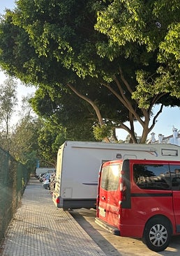 Imagen - Fotografía de la acera, tomada por los vecinos que se oponen al trasplante.