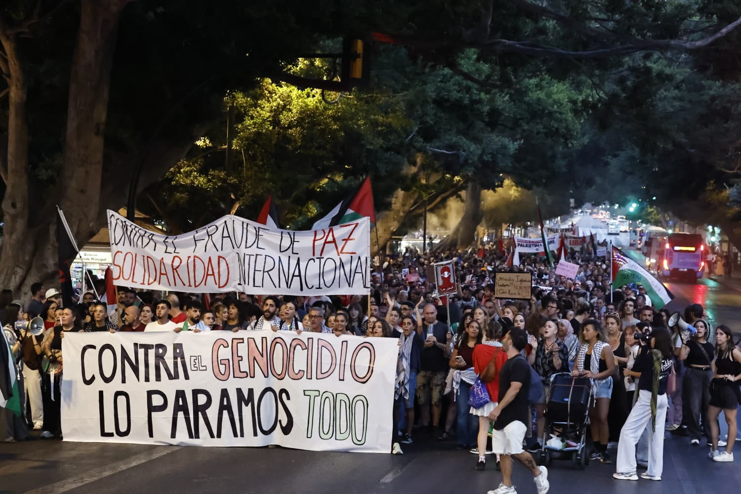 Manifestación por Palestina en Málaga