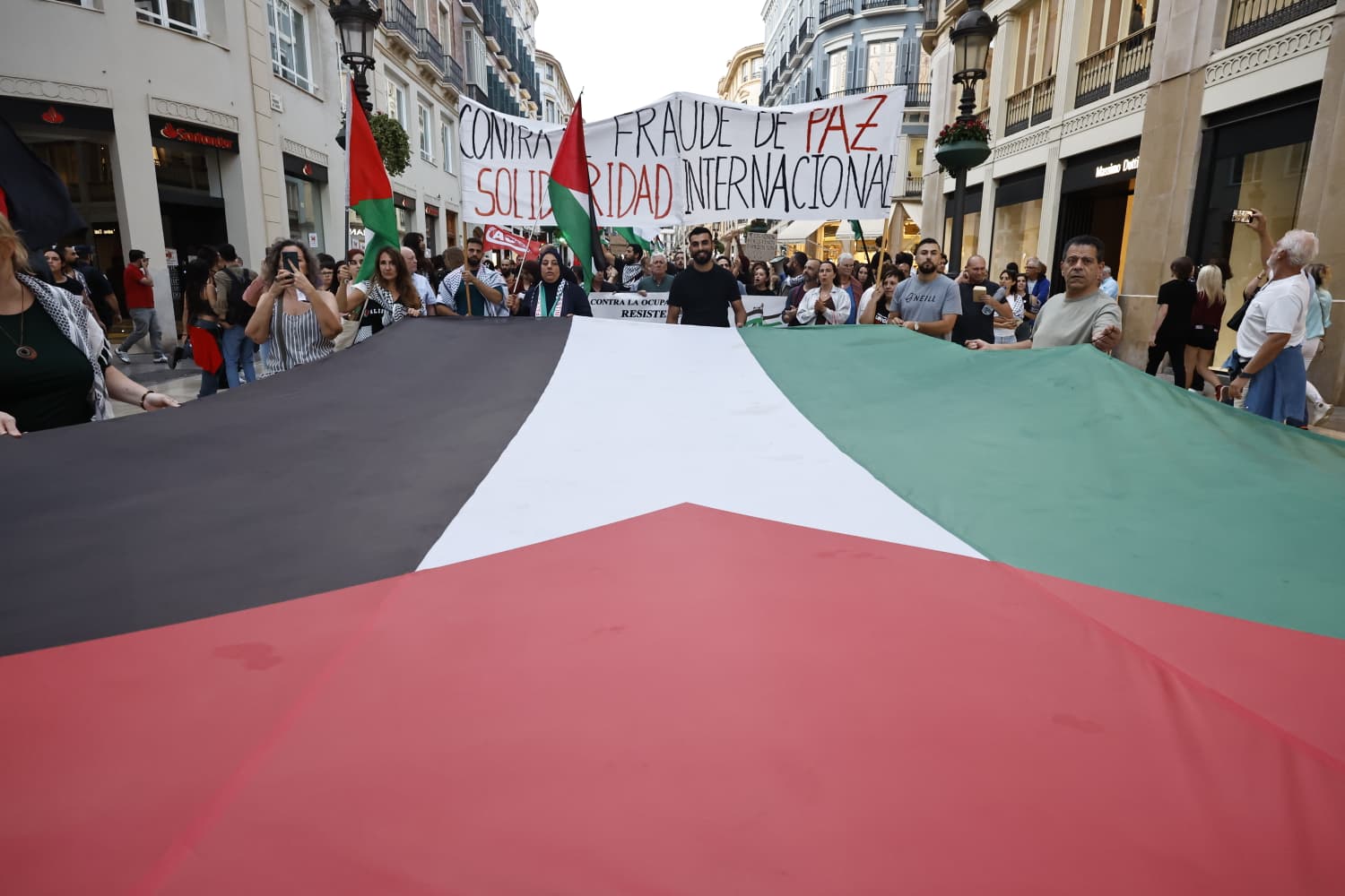 Manifestación por Palestina en Málaga