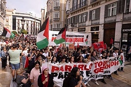 Cientos de estudiantes recorren Málaga en solidaridad con Palestina