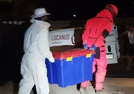 Caja que contiene el nido de velutinas, retirado la pasada madrugada.