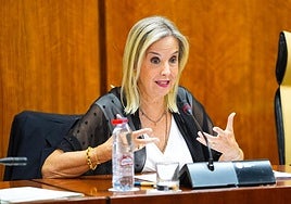 La Fiscal Superior de Andalucía, Ana Tárrago, hoy en el Parlamento.